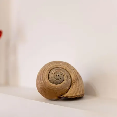 Anastasia's Апартаменты Полихроно