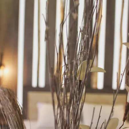 Anastasia's Полихроно