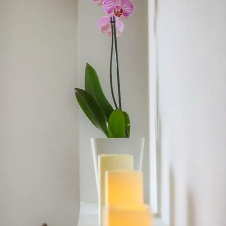 Anastasia's * Полихроно