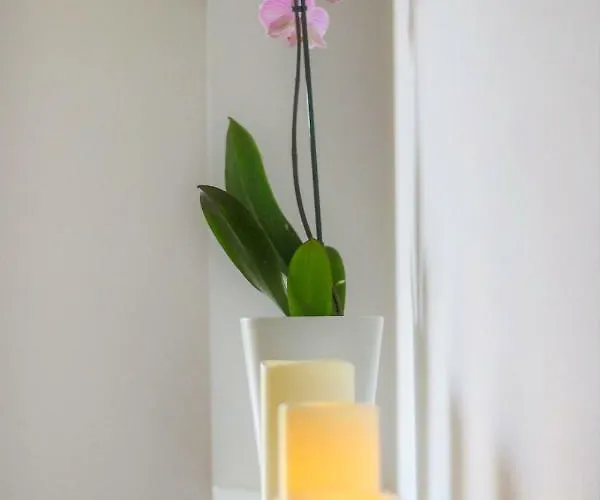 Anastasia's * Polikhronon